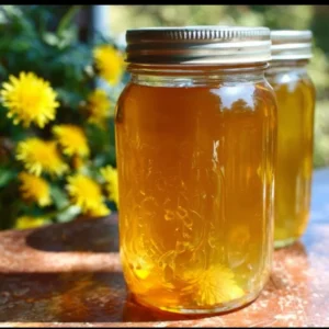 how to make dandelion jelly 2026 03 03 010609