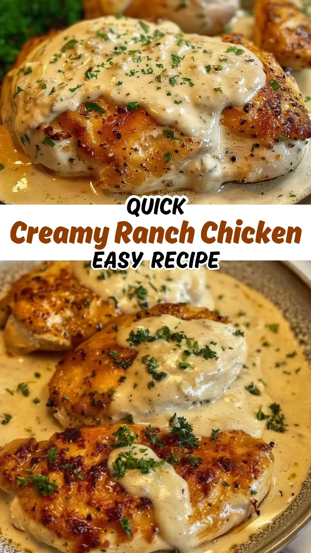 Creamy Ranch Chicken