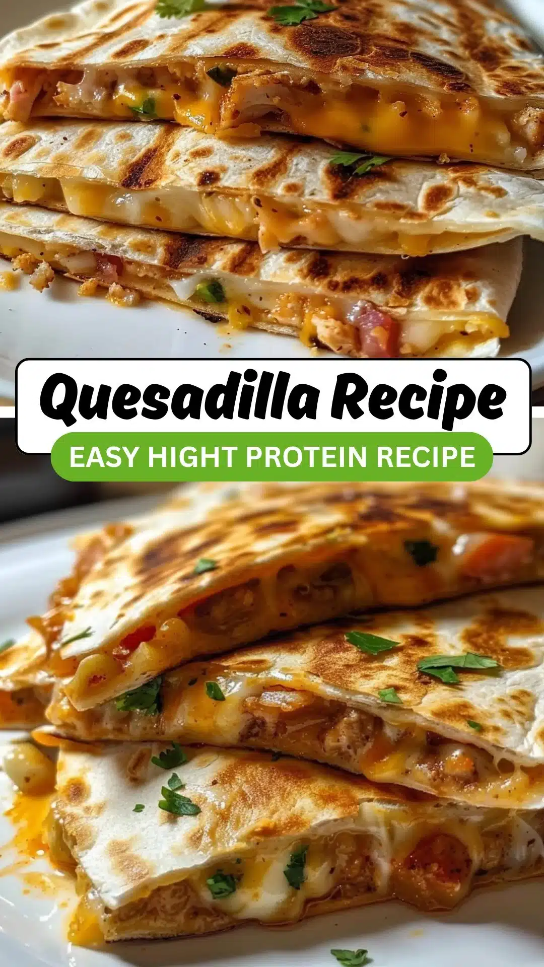 High Protein Quesadilla