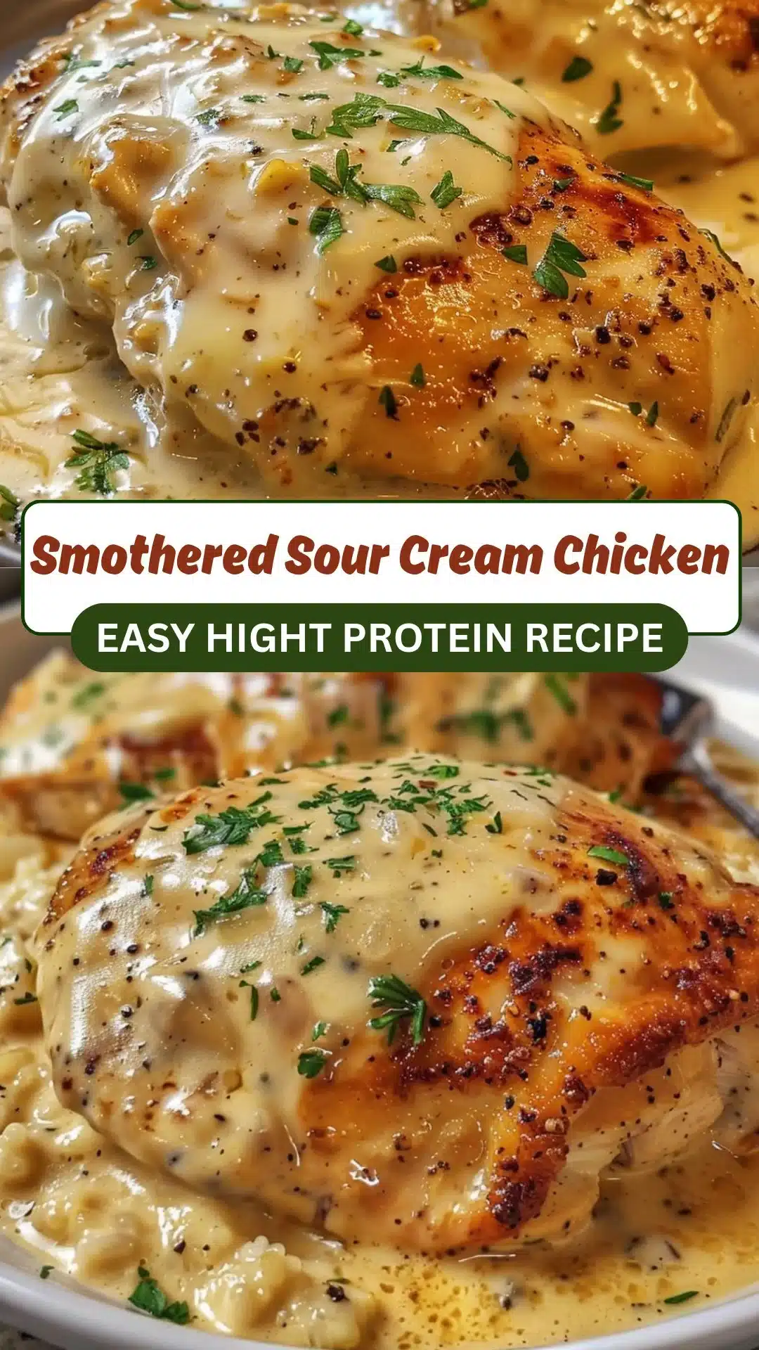 Smothered Sour Cream Chicken 2 SMOTHERED SOUR CREAM CHICKEN